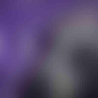 single_content_01_v01