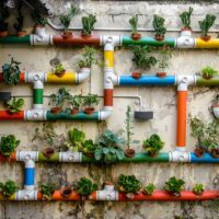 urbangardening