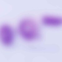 single-watermark