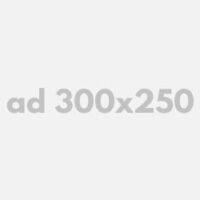 author_info_box