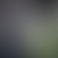 single_content_gif_v01