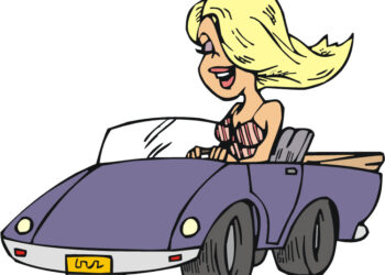 ВИЦ: Плавуша во салон за автомобили…