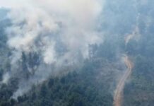 Пожарот во Беровско и понатаму се гасне