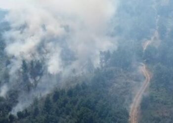 Пожарот во Беровско и понатаму се гасне