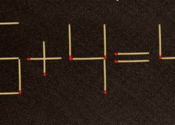 Загатка со шкорчиња