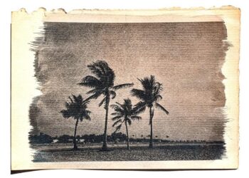 Изложба на дела настанати на првото издание на меѓународниот фестивал на алтернативна фотографија – Зрно