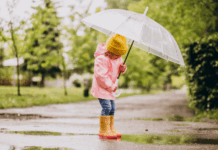 Од утре променливо време со дожд и засилен ветер и пад на температурите дожд