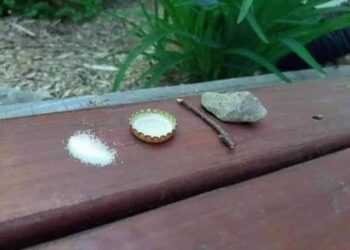 Мамец за комарци