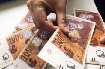 Во кои сектори се исплатени највисоките плати во Македонија?