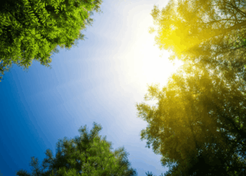 топло и сончево