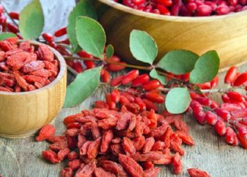 Дознајте ги супер моќите на гоџи бобинките