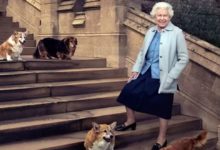 Kralitsata Elizabeta i nejzinite kuchina