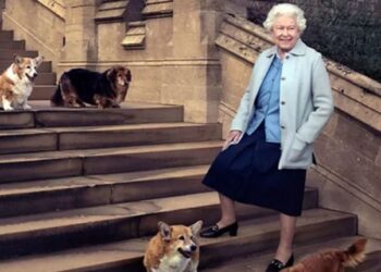 Еве на кого кралицата Елизабета Втора ги остави своите кучиња – ги обожаваше, а ќе ги наследат луѓе од доверба