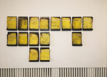 Јане Чаловски изложува во Париз како дел од „Урбан текст, овој простор наречен Балкан”