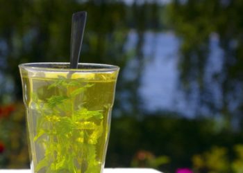 Зошто е убаво да пиеме зелен чај?