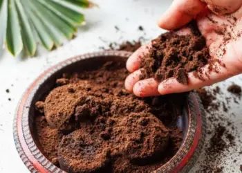 талог од кафе