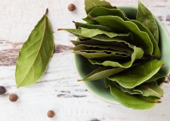 ловоров лист