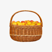 shop-list-22