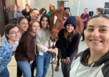 Танкоска: Студентите од Факултетот за ветеринарна медицина – Скопје преку програмата Спинакер се стекнаа со практични вештини