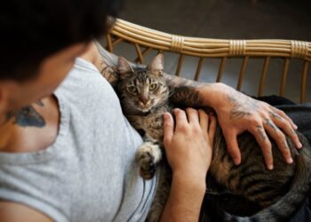 Неколку причини зошто да се заљубите во маж кој сака мачки!