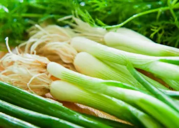 млад кромид