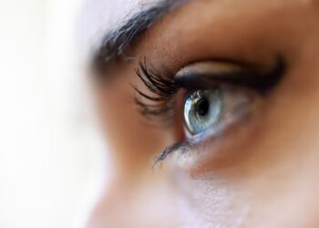 Сите синооки имаат едно нешто заедничко