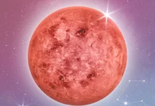 Ретроградна Венера во Лав