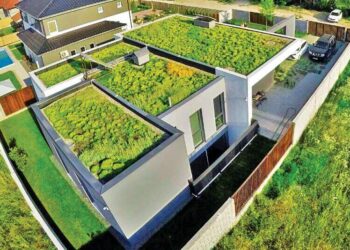 ЛЕК ЗА ИЗГОР ЛЕТАТА ВО ГРАДОВИТЕ ИМА: Кровните градини можат да ја намалат температурата за 4 Целзиусови степени