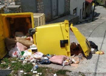 Мечки во Галичник превртуваат контејнери за смет барајќи храна