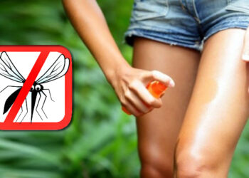 Направете ефикасен спреј против комарци! Потребен ви е само еден портокал