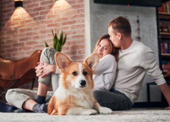 12 начини на кои кучињата покажуваат љубов