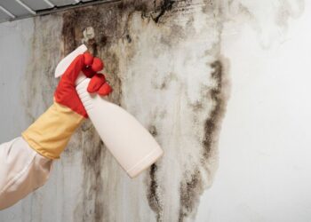 Попрскајте го ова на местата каде што се појавила мувла: За 20 минути ѕидот ќе изгледа како да сте го избелиле