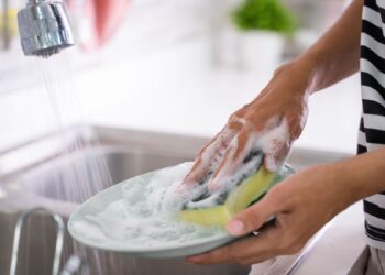 Сунѓер за садови