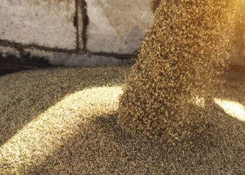 Украина испорачала 9,2 милиони тони жито