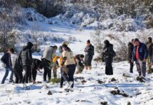 Засадени 50.000 дрвја во велешко, за две години за 90.000 со акцијата за пошумување „Сончева гора“