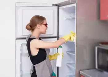 Трик за чистење на замрзнувачот: Една ситница може да ви помогне да се ослободите од насобраниот мраз
