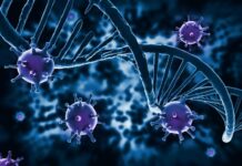 Научниците со нова технологија успешно го отстранија ХИВ од заразените клетки успешно го отстранија ХИВ од заразените клетки