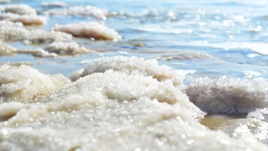 колку сол има во морската вода?