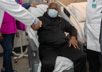 трансплантација на бубрег од свиња