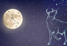 млада месечина во бик