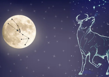 млада месечина во бик