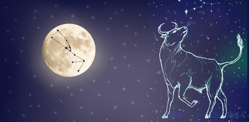 млада месечина во бик