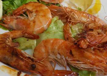 Ресторани Сидро Ви го донесоа морскиот амбиент во Скопје