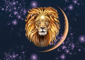 млада месечина во лав