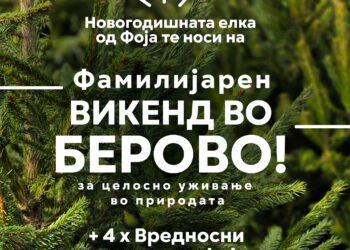 Зошто е подобро да одберете природна наместо вештачка новогодишна елка?