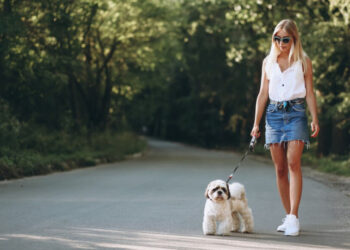 Шетање куче