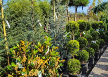 20 години Фоја и две децении љубов кон природата! Специјални роденденски попусти до 80%