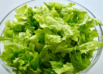 зелена салата