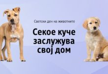 Najava za den na zivotnite PR 4x3 1