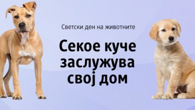 Najava za den na zivotnite PR 4x3 1